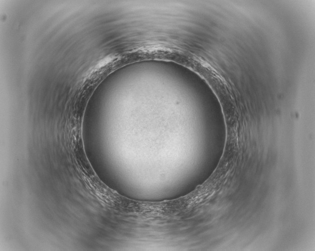 X0000088020870200705111127