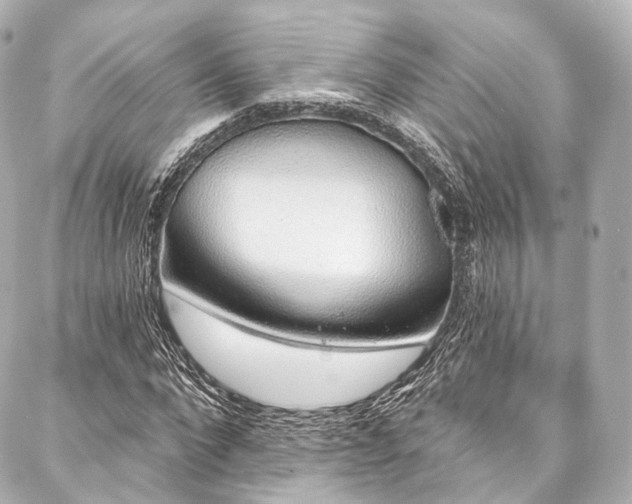 X0000088020872200705111127