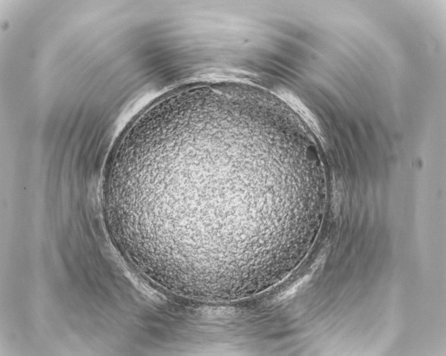X0000088020893200705111126
