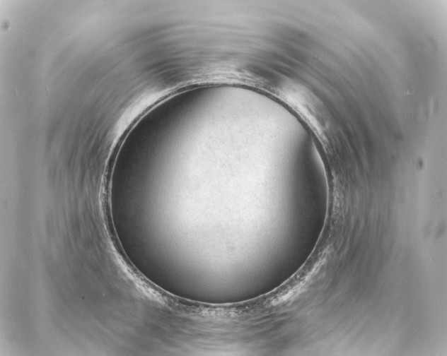 X0000088020901200705111126