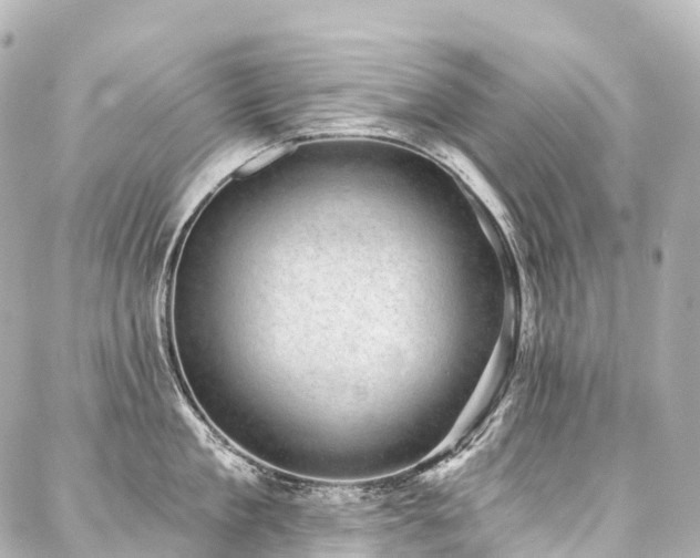 X0000088020909200705111126