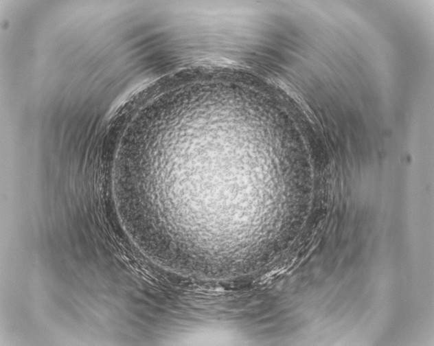 X0000088020919200705111125
