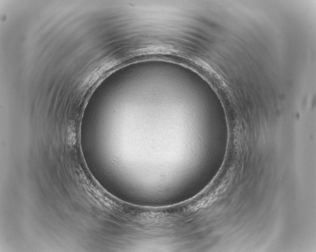 X0000088020929200705111126