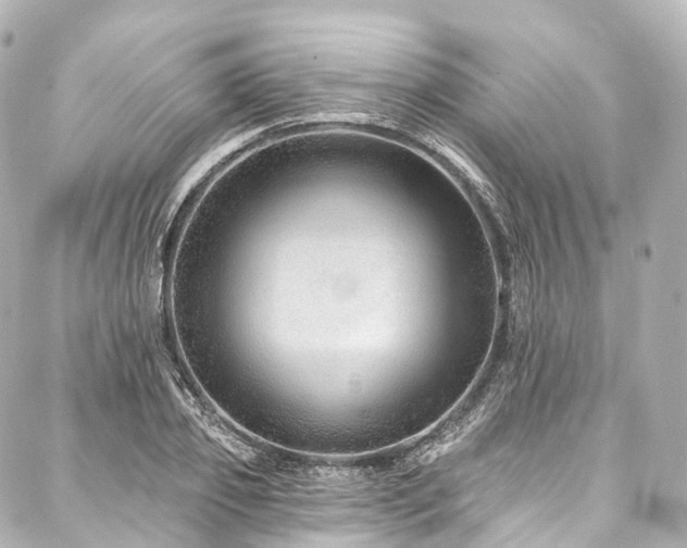 X0000088020933200705111126