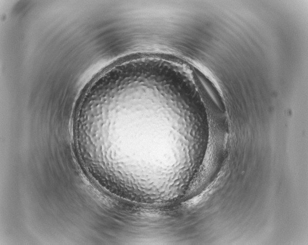 X0000088020935200705111126