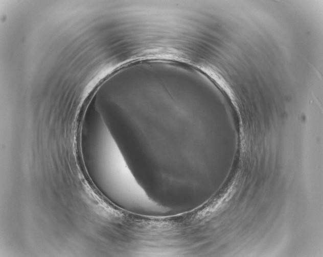 X0000088020941200705111126