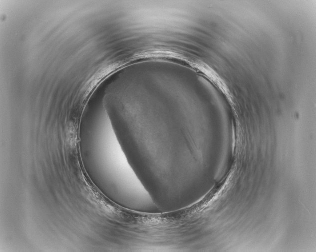X0000088020945200705111126
