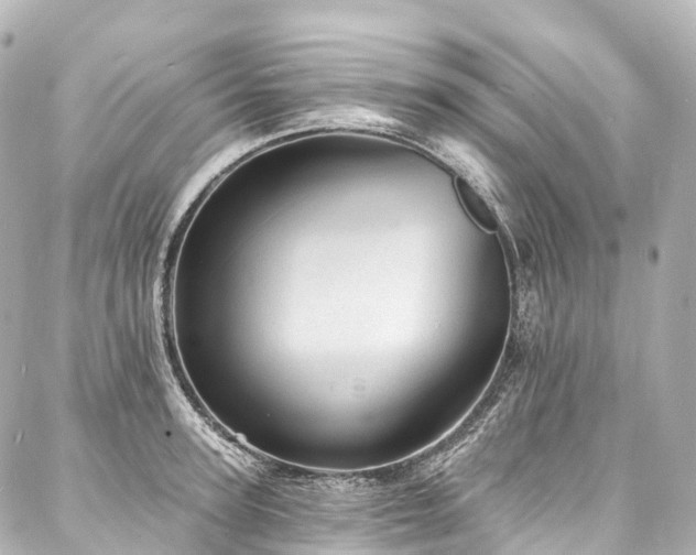 X0000088020947200705111126