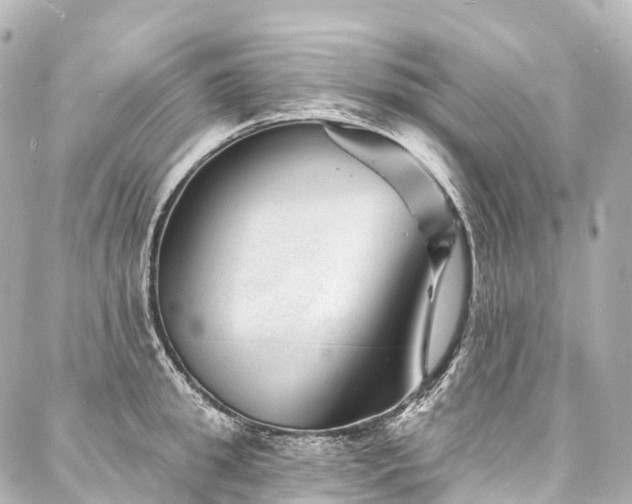 X0000088020949200705111126