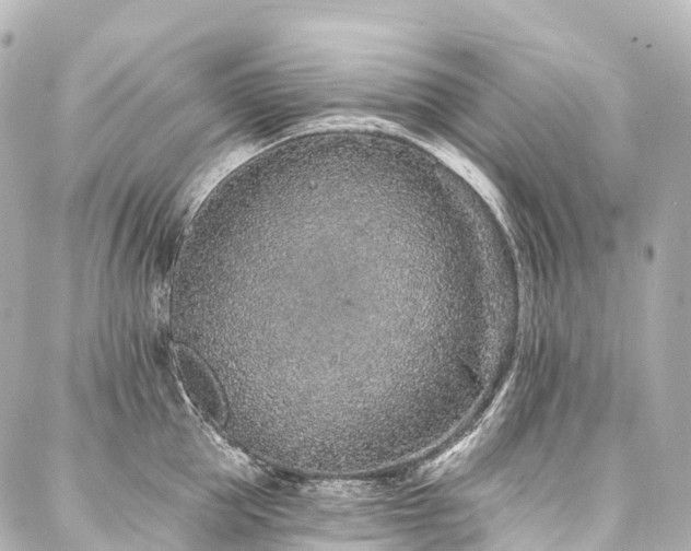 X0000088020953200705111126