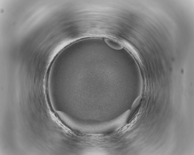 X0000088020958200705111126