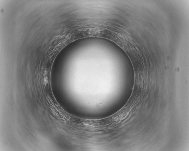 X0000088020962200705111125