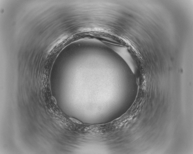 X0000088020967200705111125
