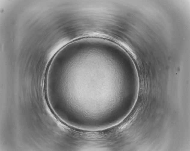 X0000088021007200705111125