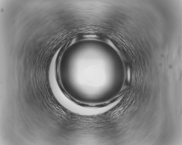 X0000088021010200705111124