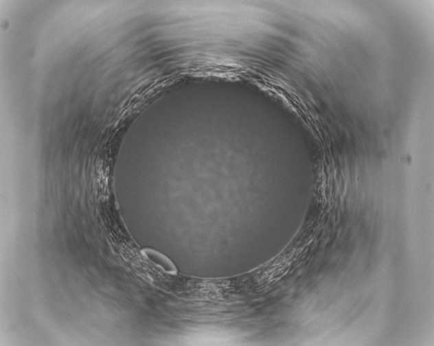 X0000088021013200705111124