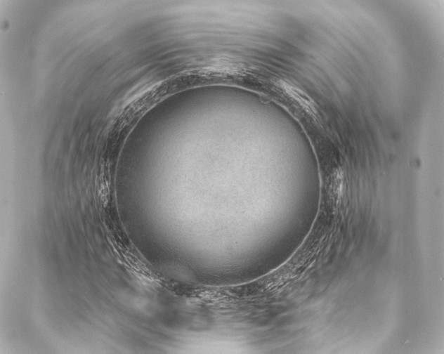 X0000088021015200705111124