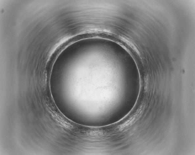 X0000088021021200705111124