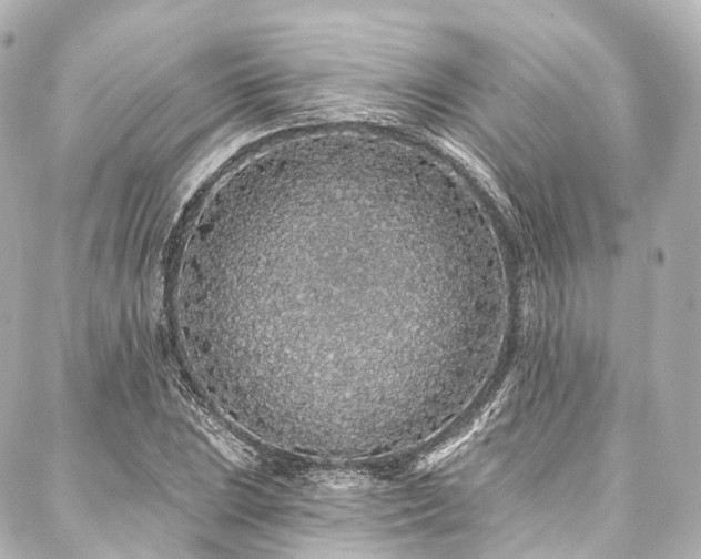 X0000088021023200705111124