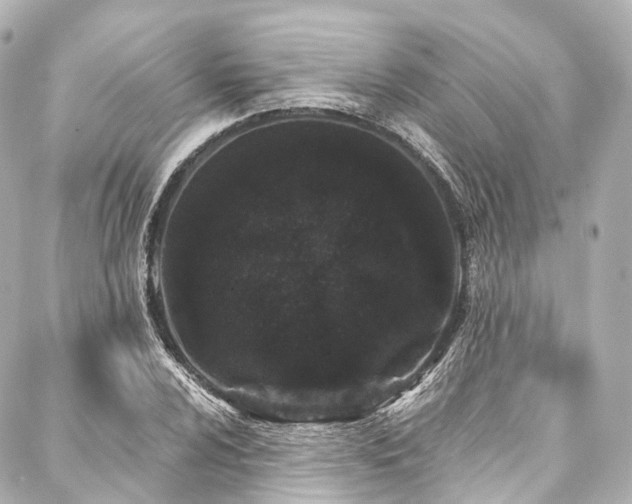 X0000088021024200705111124