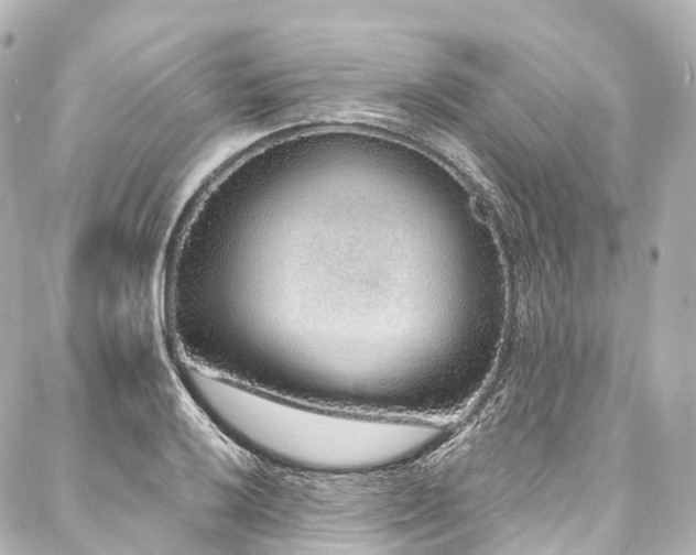 X0000088021032200705111124