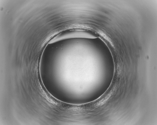 X0000088021033200705111124