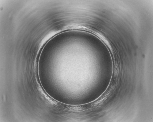 X0000088021053200705111124