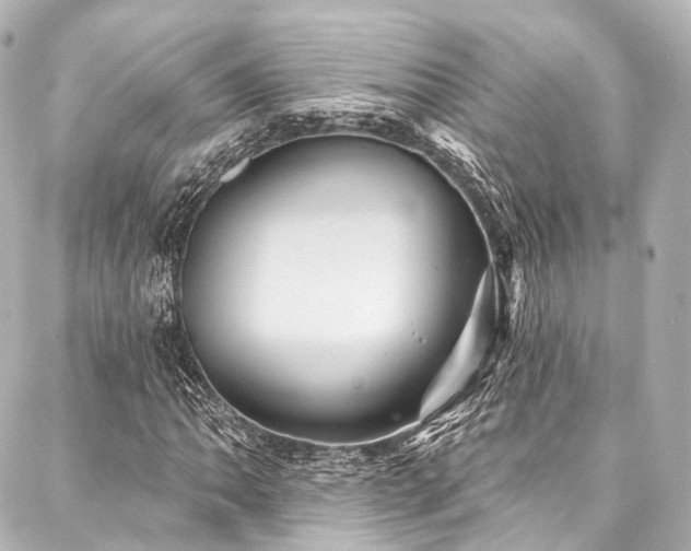 X0000088021062200705111124