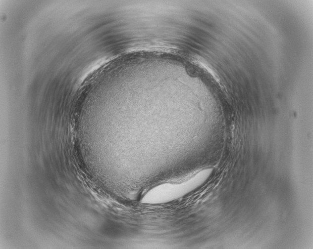 X0000088021064200705111124