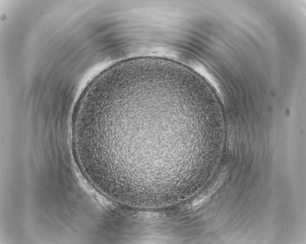 X0000088021088200705111123