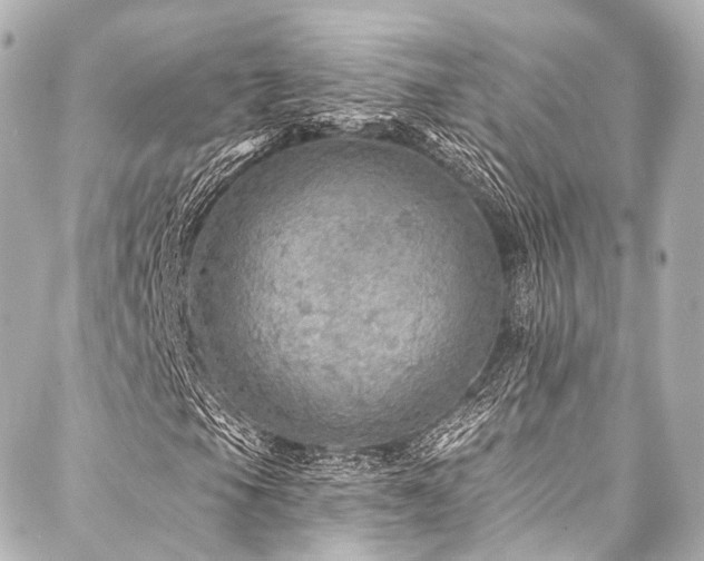 X0000088021105200705111122