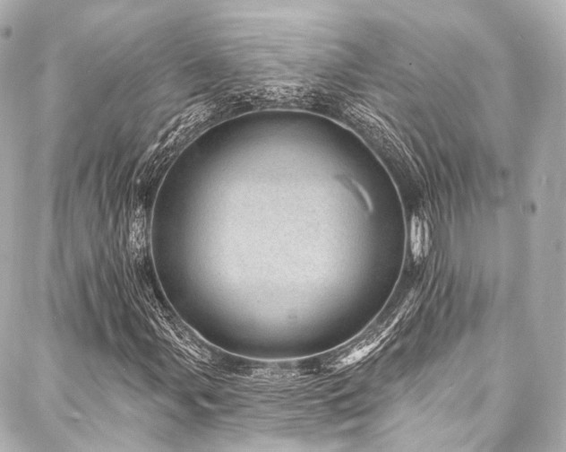 X0000088021107200705111122