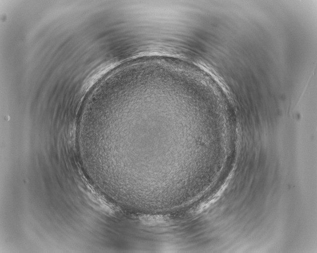 X0000088021121200705111122