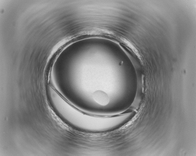 X0000088021122200705111122