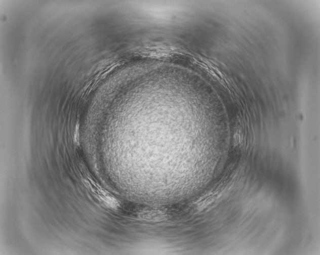 X0000088021156200705111122
