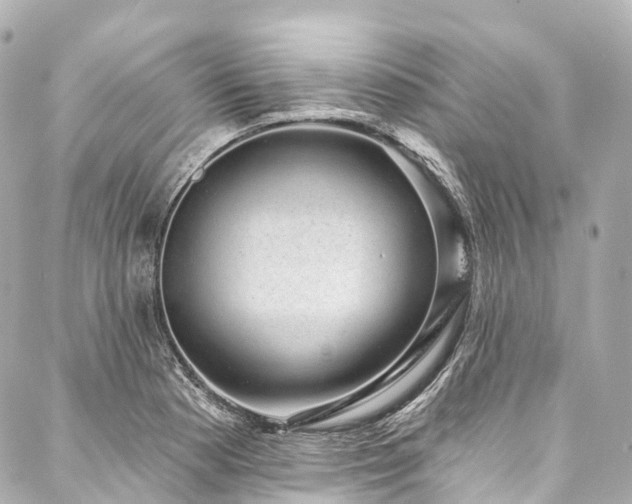 X0000088021177200705111122
