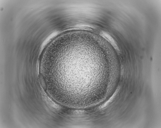 X0000088021180200705111122