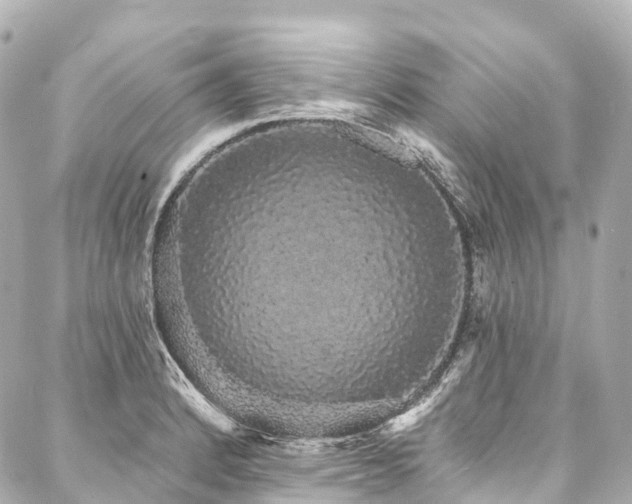 X0000088021184200705111122