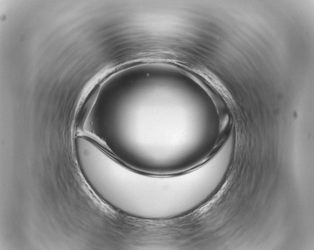 X0000088021196200705111121