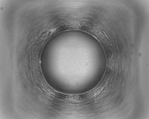 X0000088021201200705111121