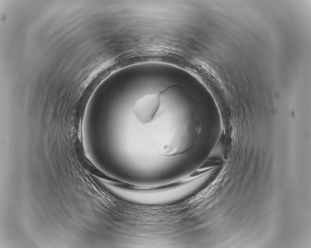 X0000088021210200705111121