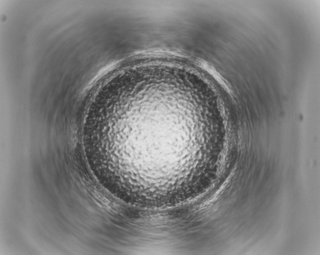 X0000088021213200705111121
