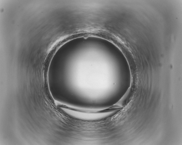 X0000088021214200705111121