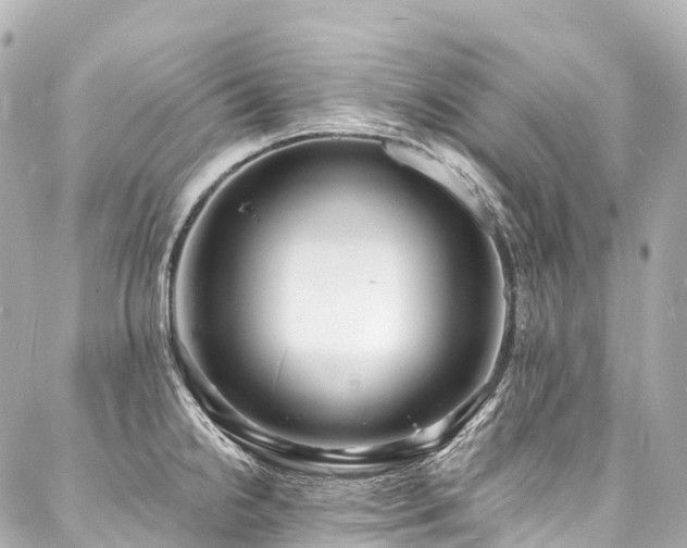 X0000088021238200705111121