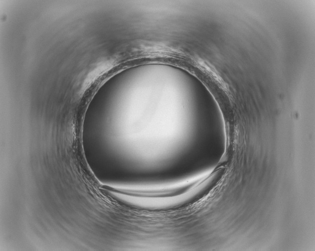 X0000088021261200705111120