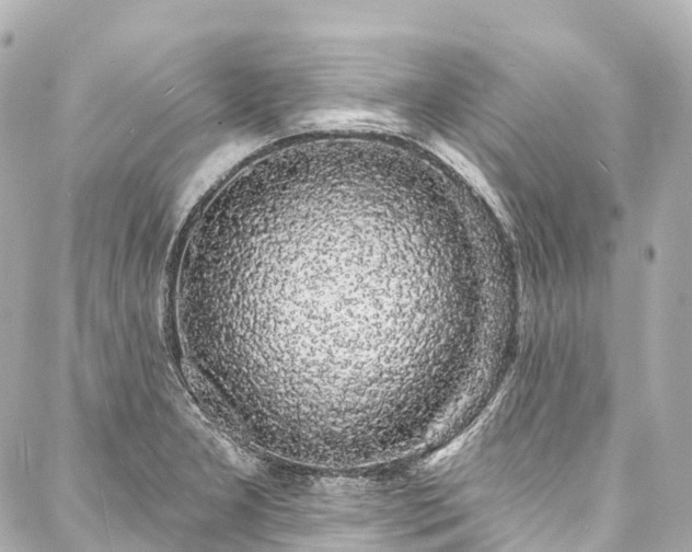 X0000088021277200705111120