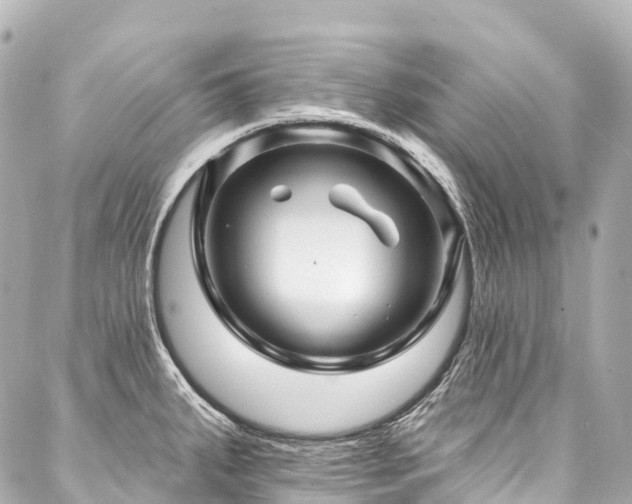 X0000088021287200705111120
