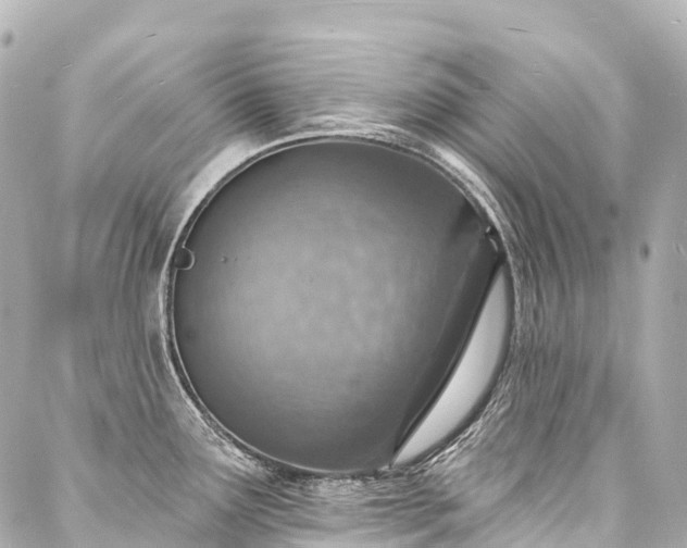 X0000088021291200705111120