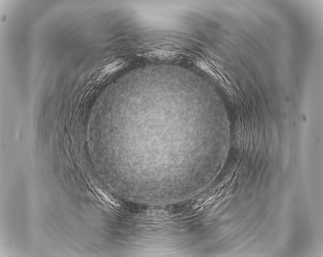 X0000088021297200705111119