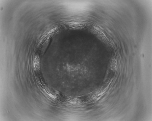 X0000088021298200705111119